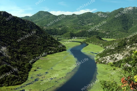 Europa, Osteuropa, Balkan. Montenegro, Skadar, See, Landschaft, Rijeka Crnojevica, Natur,  