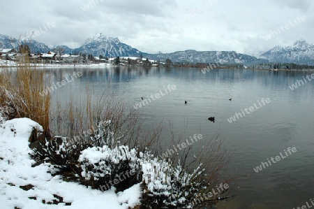 Stiller Winter am See