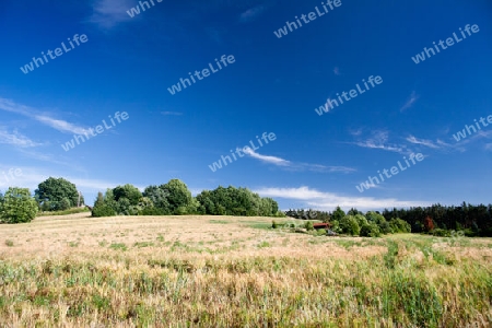 Landschaft im Th?ringen