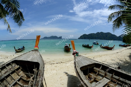 A Beach on the Island of Ko PhiPhi on Ko Phi Phi Island outside of the City of Krabi on the Andaman Sea in the south of Thailand. 