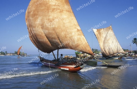 Asien, Indischer Ozean, Sri Lanka,
Ein traditionelles Fischerboot mit Fischern im Kuestendorf Negombo an der Westkueste von Sri Lanka. (URS FLUEELER)






