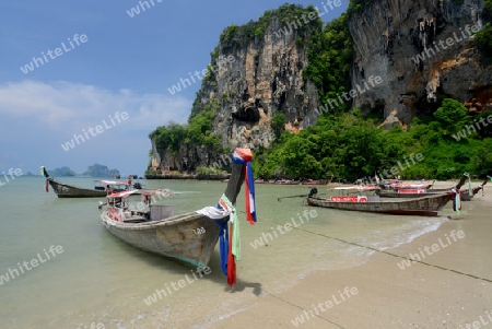 The Hat Tom Sai Beach at Railay near Ao Nang outside of the City of Krabi on the Andaman Sea in the south of Thailand. 