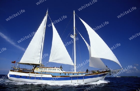 
Ein Segelschiff fuer Kreuzfahrten in der Inselwelt  im Northmale  Atoll auf den Inseln der Malediven im Indischen Ozean.   