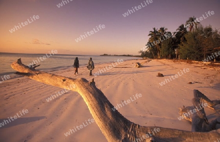 Der Traumstrand  von Michamvi am Chwaka Bay an der Ost-Kueste auf der Insel Zanzibar welche zu Tansania gehoert.         