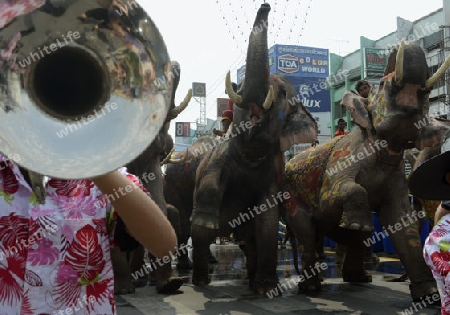 Das Songkran Fest oder Wasserfest zum Thailaendischen Neujahr ist im vollem Gange in Ayutthaya noerdlich von Bangkok in Thailand in Suedostasien.  