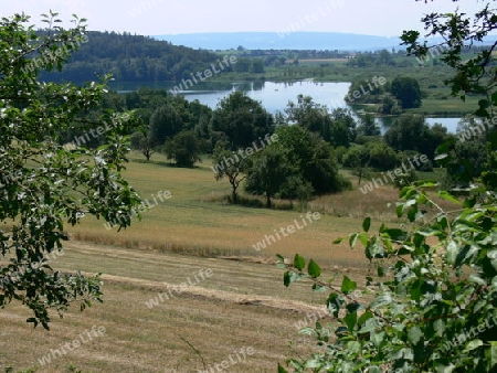 Landschaft um den Mindelsee