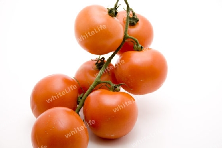 Strauchtomaten