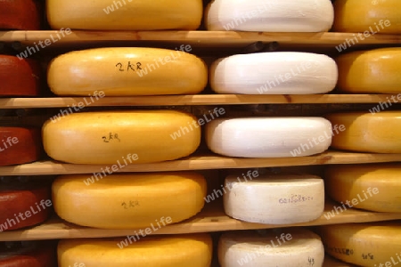 Gouda