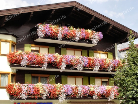 Blumenpracht in Tirol