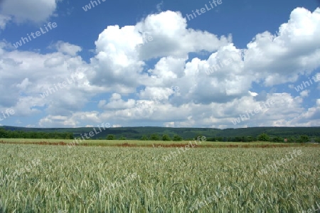 Himmel ?ber dem Schwarzw?lder Hochwald