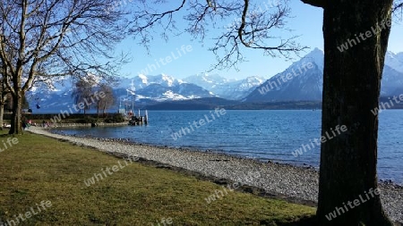 Thunersee Ufer 1