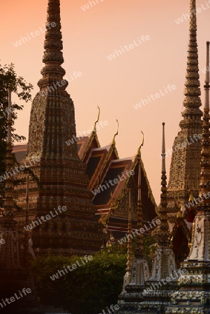 Die Tempelanlage des Wat Pho in der Hauptstadt Bangkok von Thailand in Suedostasien.