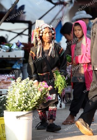 Der Markt im Bergdorf Mae Salong in der Huegellandschaft noerdlich von Chiang Rai in der Provinz Chiang Rai im Norden von Thailand in Suedostasien.