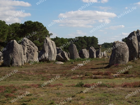 Alligments bei Carnac