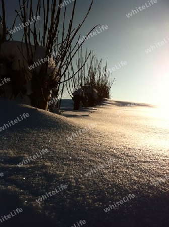 Winterwunderland