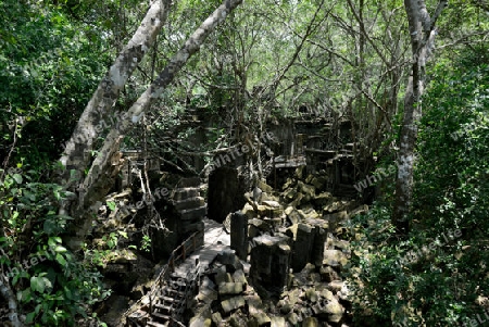 The Tempel Ruin of  Beng Mealea 32 Km north of in the Temple City of Angkor near the City of Siem Riep in the west of Cambodia.