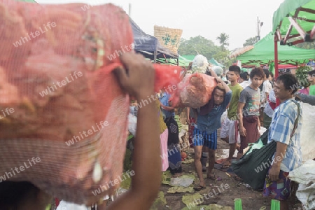 a fegetable market in a Market near the City of Yangon in Myanmar in Southeastasia.