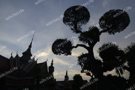 Der Wat Arun Tempel in der Stadt Bangkok in Thailand in Suedostasien.