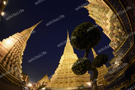 Die Tempelanlage des Wat Pho in der Hauptstadt Bangkok von Thailand in Suedostasien.