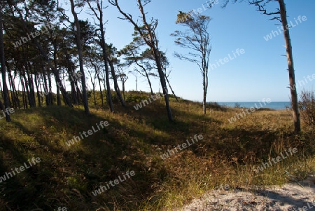 An der Ostsee Mecklenburg Vorpommern