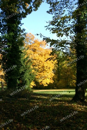 Herbststimmung Neuer Garten