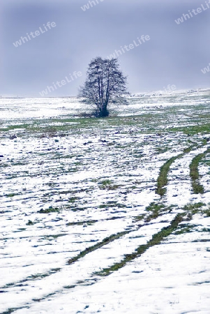 Winterlandschaft