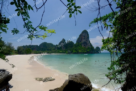 The Hat Railay Leh Beach at Railay near Ao Nang outside of the City of Krabi on the Andaman Sea in the south of Thailand. 