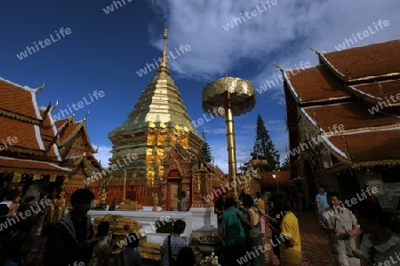 Der Chedi der Tempel Anlage des Wat Phra That Doi Suthep bei Chiang Mai in der Provinz Chiang Mai im Norden von Thailand in Suedostasien.