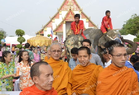 Das Songkran Fest oder Wasserfest zum Thailaendischen Neujahr ist im vollem Gange in Ayutthaya noerdlich von Bangkok in Thailand in Suedostasien.  