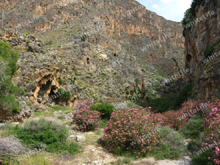 Perivolakia  Schlucht auf Kreta