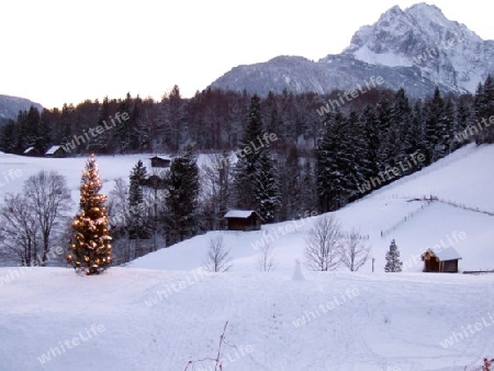 Wetterstein mit Christbaum