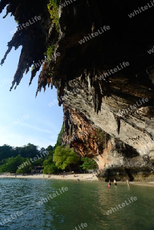 The Hat Phra Nang Beach at Railay near Ao Nang outside of the City of Krabi on the Andaman Sea in the south of Thailand. 