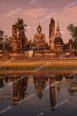 Der Wat Mahathat Tempel in der Tempelanlage von Alt-Sukhothai in der Provinz Sukhothai im Norden von Thailand in Suedostasien.