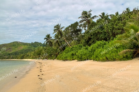 Sunny day beach view on the paradise islands Seychelles.