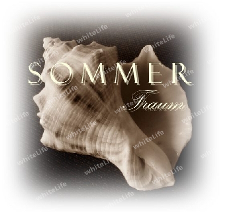 Sommertraum