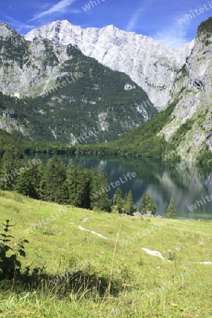Obersee mit Watzmann- Ostwand