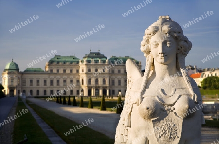 Wien - Belvedere Palast - Sphinx