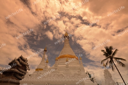 Der Tempel Wat Phra That Doi Kong Mu ueber dem Dorf Mae Hong Son im norden von Thailand in Suedostasien.