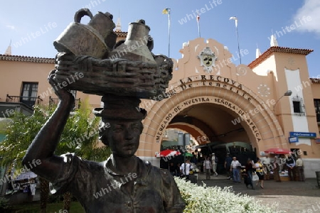 The Market Hall of the City of Santa Cruz on the Island of Tenerife on the Islands of Canary Islands of Spain in the Atlantic.  