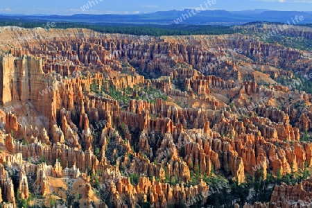 Felsformationen und Hoodoos, Bryce Canyon bei Sonnenaufgang, Bryce Point, Utah, Suedwesten, USA