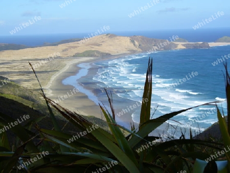 Cape Reinga