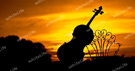 Cello im Sonnenuntergang 