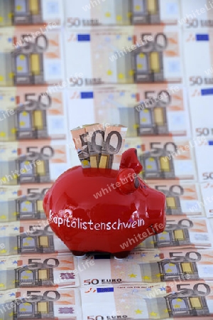 Sparschwein mit der Aufschrift " Kapitalistenschwein" und diversen 50 Euro Banknoten