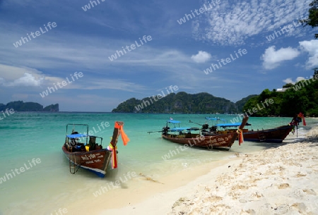 A Beach on the Island of Ko PhiPhi on Ko Phi Phi Island outside of the City of Krabi on the Andaman Sea in the south of Thailand. 