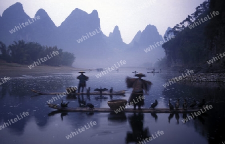 the landscape at the Li River near Yangshou near the city of  Guilin in the Province of Guangxi in china in east asia. 