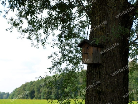 Vogelh?uschen