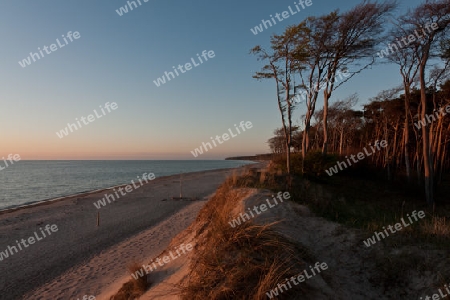 Weststrand auf dem Darss, Nationalpark Vorpommersche Boddenlandschaft, Deutschland