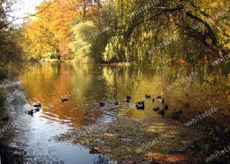 Englischer Garten M?nchen