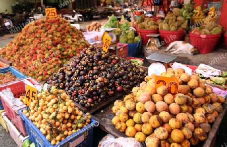 Fruechte auf dem Talat Warorot Markt in Chiang Mai in der Provinz Chiang Mai im Norden von Thailand in Suedostasien.