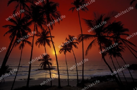  the beach of Anjuna in the Province Goa in India.